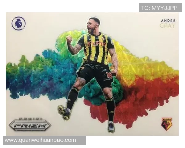 帕尼尼聚焦中国足球球星收藏热潮 探秘球员卡片背后的故事与价值 帕尼尼聚焦中国足球球星收藏热潮 探秘球员卡片背后的故事与价值