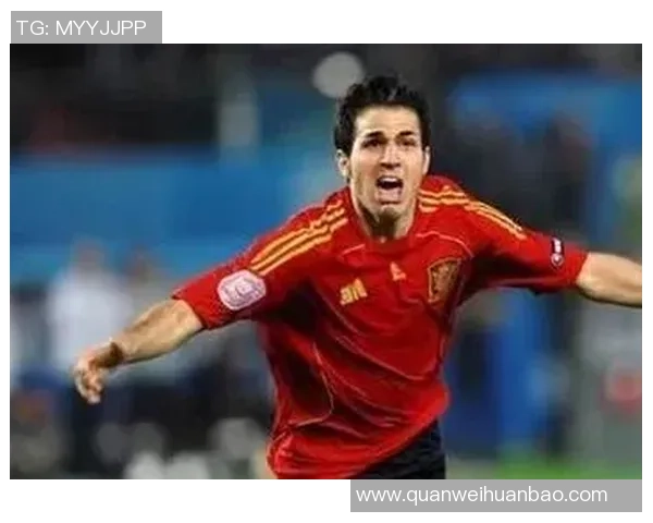 足球球星退役后如何规划人生从卡片到人生新篇章的转型之路